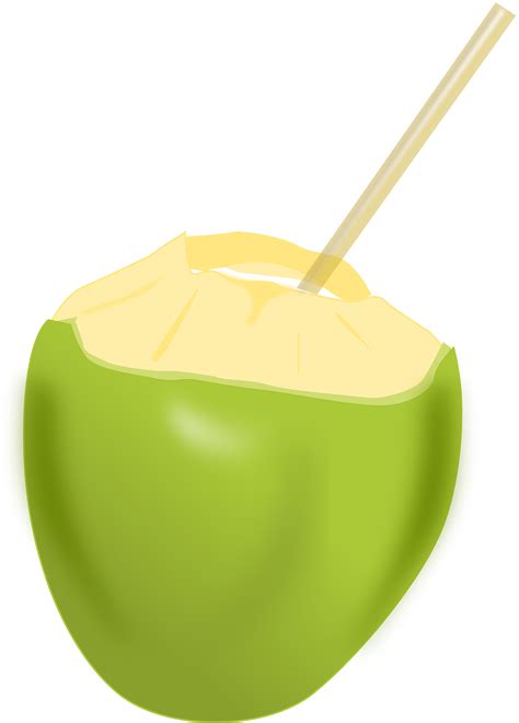 Coco Frutas Bebidas Gráfico Vetorial Grátis No Pixabay