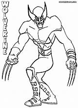 Wolverine Coloring Pages Hero Animal Colorings sketch template