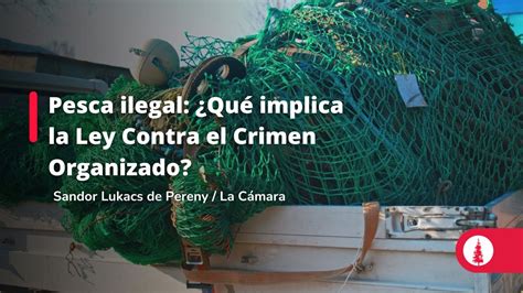 Pesca Ilegal ¿qué Implica La Ley Contra El Crimen Organizado