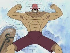 One Piece Pedia