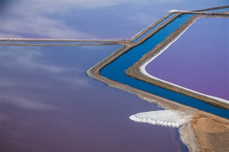 Purple Views Of The San Francisco Bay Salt Ponds By Julieanne Kost