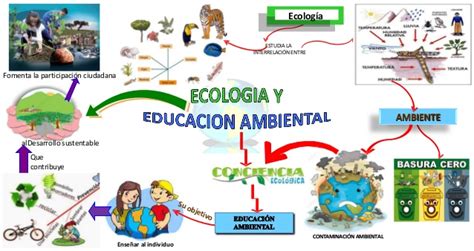 Ecologia Y Medio Ambiente Mapa Mental De La Historia De La Ecologia Images