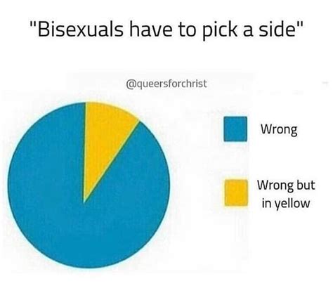 31 Memes Thatll Make Bisexual People Feel Seen