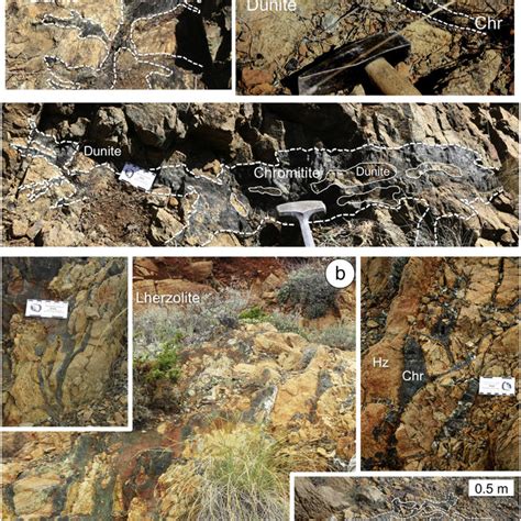 Chemical Composition Of Lunar Meteorites From Dhofar Oman