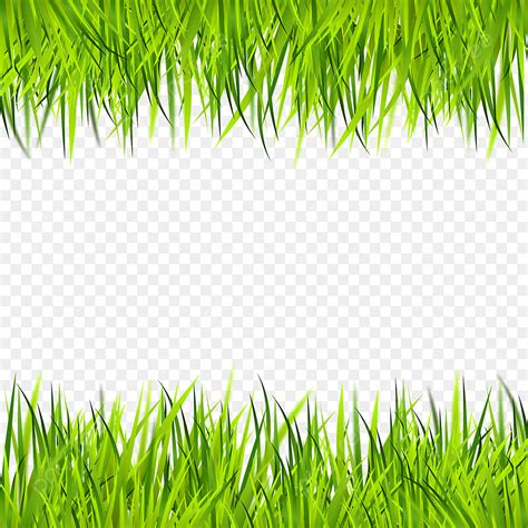 Grass Transparent Vector Design Images Abstract Green Grass With