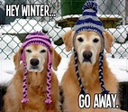 Hey Winter Go Away Pictures, Photos, and Images for Facebook, Tumblr ...