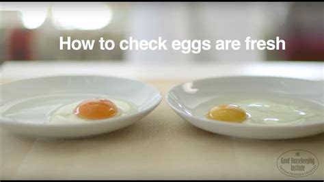 How To Tell If Eggs Are Fresh Good Housekeeping Uk Youtube