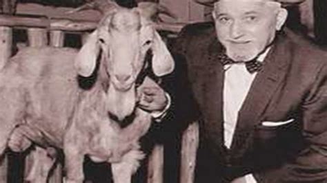 Curse Of The Billy Goat Is There Any Truth To This Chicago Cubs Curse