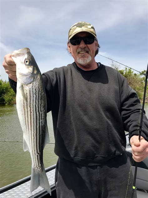 Striped Bass Fishing Report 4 22 Jeff Goodwin Fishing