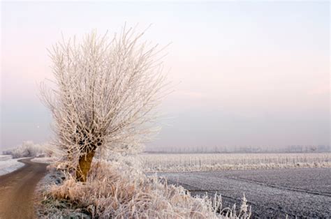 Rural Winter Scene Stock Photo Download Image Now Frost Horizontal