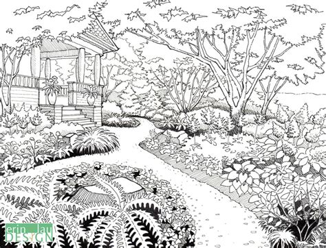 Garden Drawing Details Drawntogarden