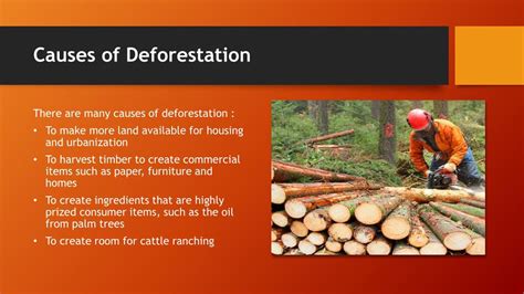 Ppt Causes And Effects Of Deforestation Powerpoint Presentation Free