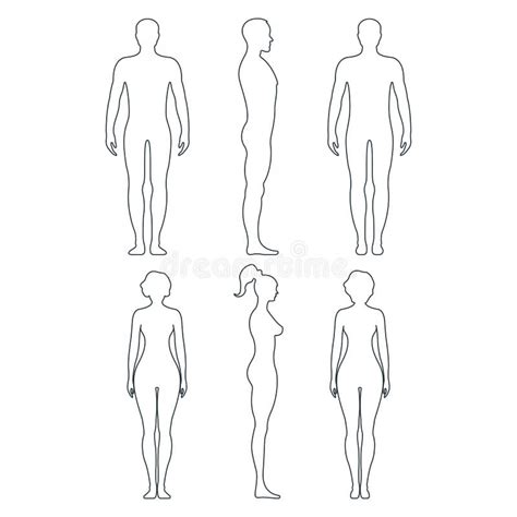 human body sex stock illustrations 3 529 human body sex stock illustrations vectors and clipart