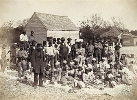 Freed Slaves 1862 By Granger