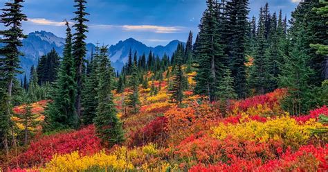 10 Seattle Area Hikes For Seeing Beautiful Fall Colors Cool Pictures