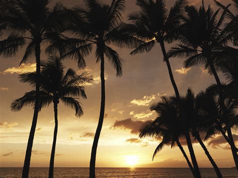 Hawaii Sunset Schitterende Posterprint Photowall