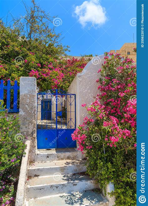 Blue Gate To Greek Old House Decorated With Bougainvillea Flowers
