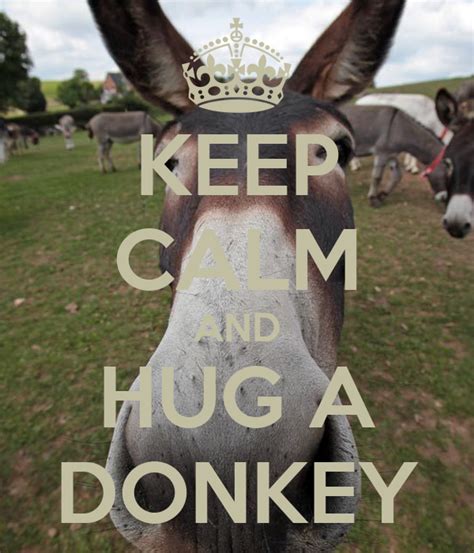 Keep Calm And Hug A Donkey Poster Mel Keep Calm O Matic