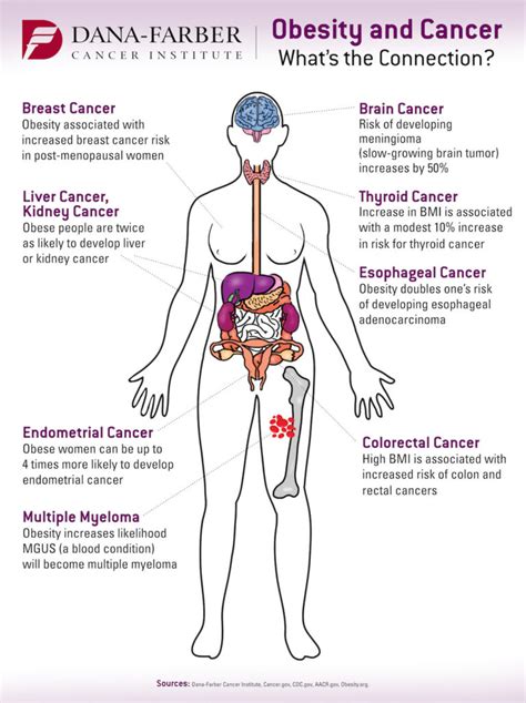 can obesity cause cancer