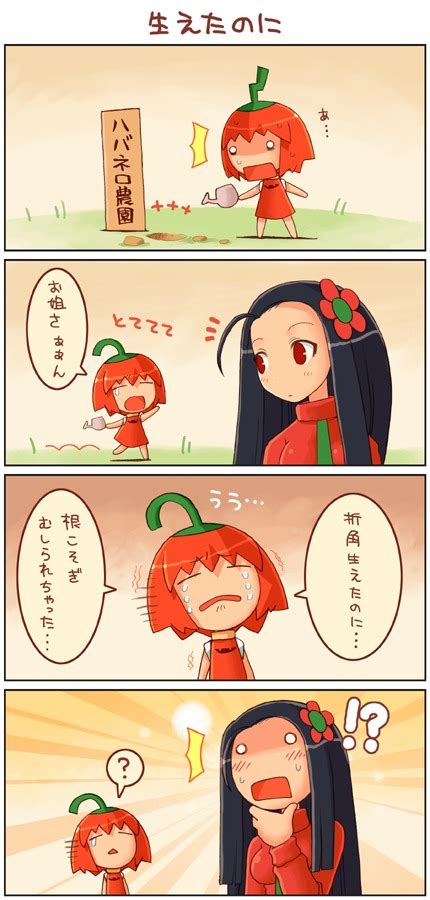 Shigatake Habanero Neesan Habanero Tan Original Long Image Tall Image Translated