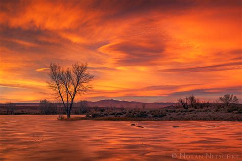 Frozen Pond Sunset Owens Valley California The Sierra