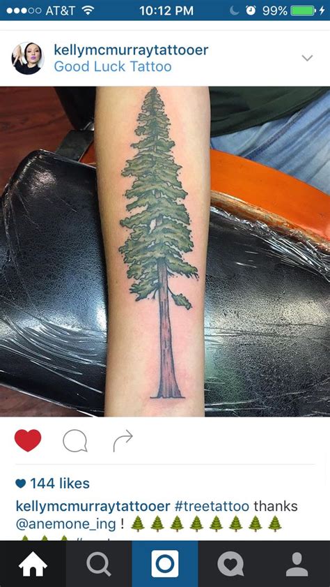 Redwood Tree Tattoo Tattoos Luck Tattoo Tree Tattoo