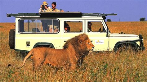 Some claim it was bestowed by christopher columbus in 1502 as costa del oro (gold coast), 53 others by the explorer gil gonzález dávila. Safaris en Kenia | Safaris en África | Viajes a Kenia ...