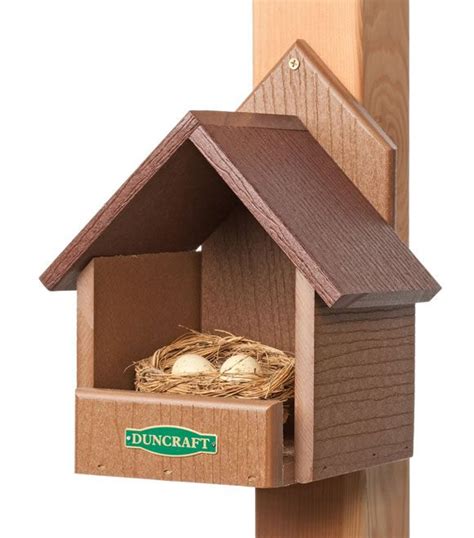 Decide on a suitable tree branch for your cardinal home. Eco-Friendly Cardinal Bird House (With images) | Bird ...