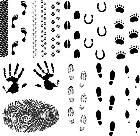 Horse Hoof Print Illustrations Royalty Free Vector Graphics And Clip Art