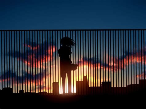 Anime Girl On The Roof Watching The Sunset Wallpapers And Images Wallpapers Pictures Photos