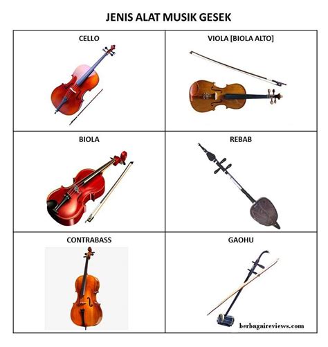 Detail Contoh Alat Musik Digesek Koleksi Nomer 5