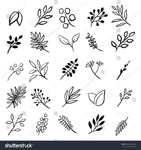 Set Vector Hand Drawn Floral Elements Stock Vector Royalty Free 1885336657