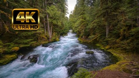 4k Nature World Most Beautiful Places Captured In 4k Ultra Hd Video