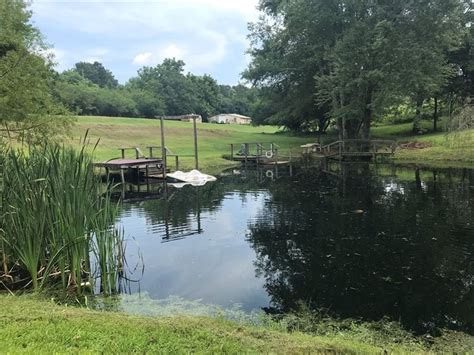 Pond And Acreage In Pickens Ga Farm For Sale In Talking Rock Pickens