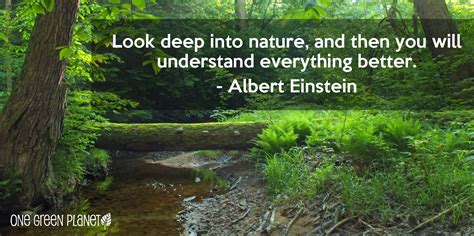 15 Quotes About Nature That Will Remind You Why We Need To Keep