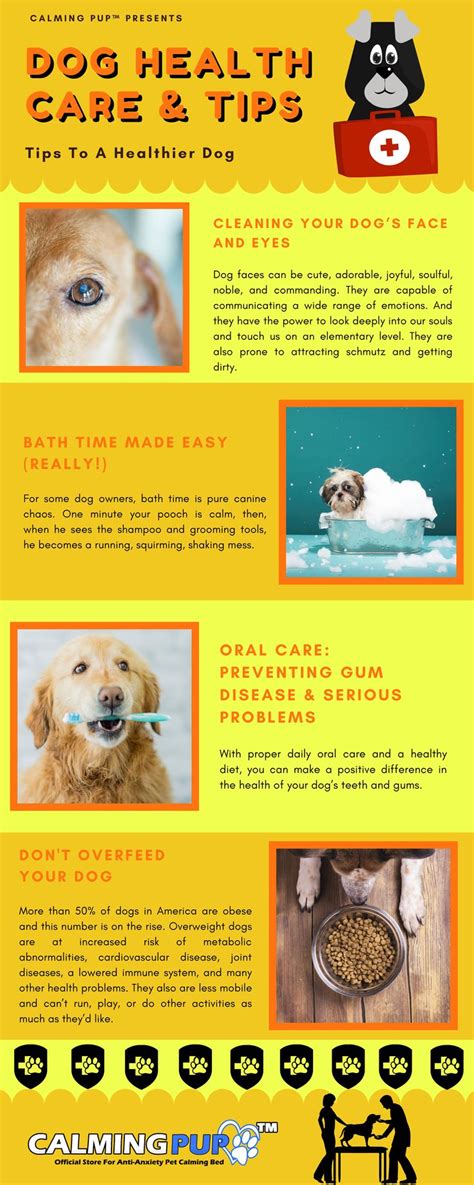 Pin On Dog Health Care And Tips