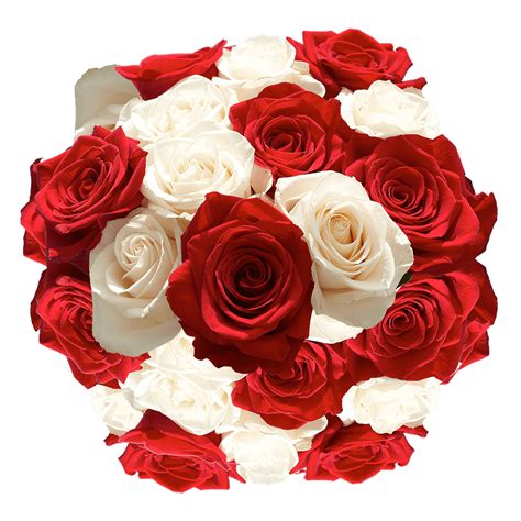 50 Stems Of Roses 25 Red And 25 White Beautiful Fresh Cut Flowers