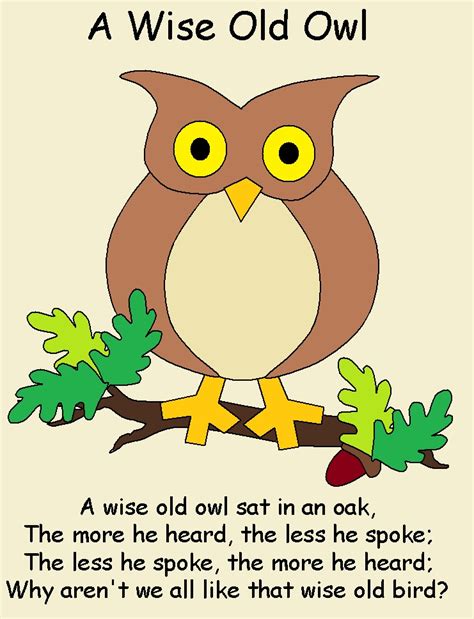 Play With Me Wise Old Owl Nursery Rhyme