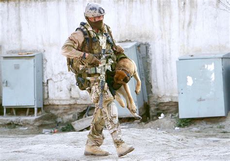 British Sbs Operator Carrying Away His Injured K9 Mali During An