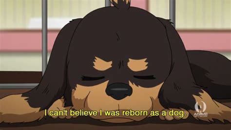 Dog X Scissors Anime Review Anime Reviews Anime Me Me Me Anime