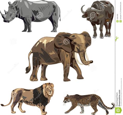Africa S Five Wild Beasts Stock Vector Illustration Of Gray 16261360