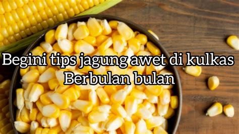 Cara Mengupas Jagung Yang Benar Dan Cara Penyimpanannya Youtube