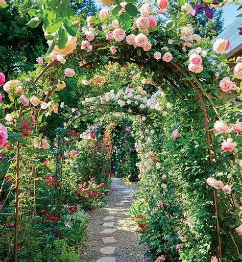 Create A Beautiful Rose Garden Rose Garden Design Beautiful Flowers