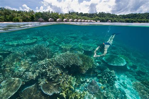 A Quick Guide To Raja Ampat For Non Divers Papua Paradise