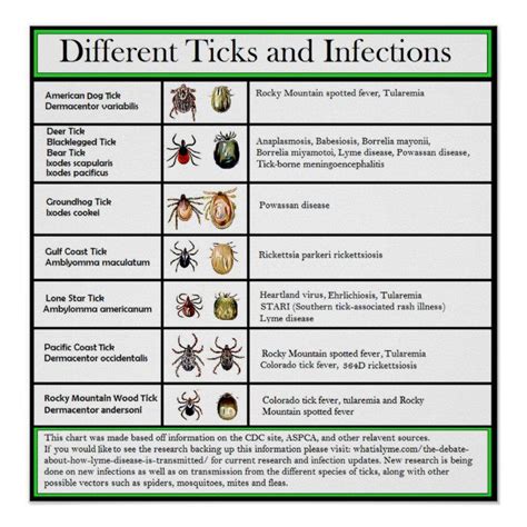 Different Ticks And Infections Chart In 2021 Lyme