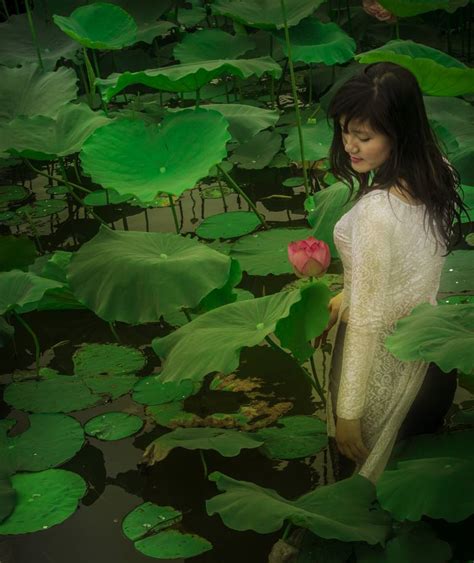 The Lotus Woman Limited Edition Of Photography By Viet Ha Tran Saatchi Art