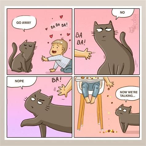 Comics Catsu The Cat Funny Cat Jokes Funny Cats And Dogs Funny