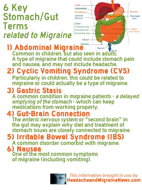6 Key Stomachgut Terms Related To Migraine Headache And Migraine News