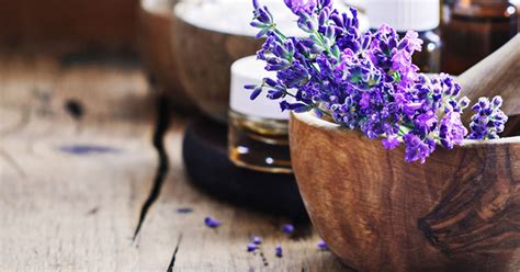 A Career In Aromatherapy Medicine Aromahead Blog