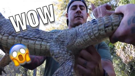 AMAZING REPTILE COLLECTION AND SEXING A CROCODILE YouTube